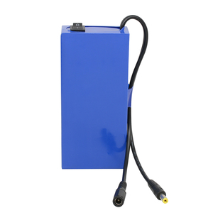 Tùy Chỉnh Siêu 12V <span class=keywords><strong>7000MAh</strong></span> <span class=keywords><strong>Lithium</strong></span> <span class=keywords><strong>Ion</strong></span> Battery Với Sạc 12.6V Cho CCTV Camera/LED Strip/Năng Lượng Mặt Trời Hệ Thống - Product Image 3