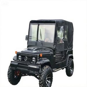 Jeep de tourisme classique haute performance, alimentée au gaz/GPL, quatre roues motrices, certifiée CE, 150-250 CV, 2/4/6 places, batterie au plomb-acide - Product Image 6