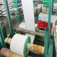 Tissu tubulaire en polypropylène Rouleau de tube tissé en PP Sac de terre UV pour la fabrication de sacs d'emballage de riz et de maïs