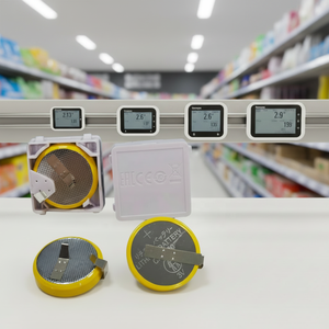 Etiqueta Electrónica de <span class=keywords><strong>Precio</strong></span> para Estantes ESL de Largo Alcance, Batería CR2450, Fabricación OEM/ODM, Utilizada para Reemplazo de ESL en Supermercados y Farmacias - Product Image 1