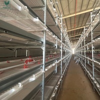 Cage à poulets de chair de type H à 4 niveaux, galvanisée à chaud, à longue durée de vie, pour 100 000 oiseaux, pour poulailler climatisé