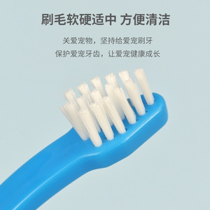 Brosse à dents pour animaux de compagnie, à tête unique, à poils souples, pour chiens et chats, soins bucco-dentaires, manche en plastique - Product Image 3