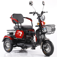 Nouveau Tricycle Électrique à 3 Roues pour Adultes, 60V 800W, 2 Places avec Panier, Idéal pour les Terrains de Golf et les Trajets Urbains - Vente Flash