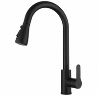 Keran Dapur Stainless Steel Hitam Doff Model High Arc Pull Down Sprayer Tuas Tunggal Lubang Tunggal Pemasangan di Dek Fungsi Ganda