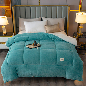 Couette en velours de lait unie, anti-boulochage, anti-statique, ultra chaude et confortable, <span class=keywords><strong>pour</strong></span> la vente en gros. - Product Image 5