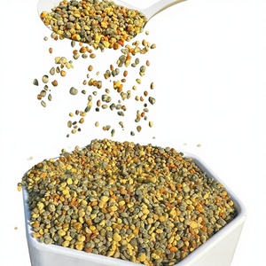 Gránulos de Polen de Abeja de Buena Calidad, Paquete en Bolsa, Néctar de Flores con Alto Contenido de Proteínas - Product Image 1