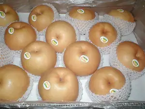 2023 nova temporada de Fresh China Golden Pears/conferência peras/Crown Pears frutas frescas para coreano singo pêra preço