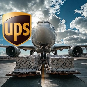 Agente de Transporte Aéreo DDP Rápido y Económico de Guangdong a EE. UU., Entrega Puerta a Puerta - Product Image 3
