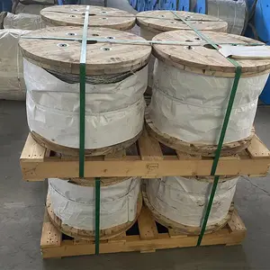 1x7 Ehs 1/ 4 оцинкованный стальной трос 7/2.03 мм Stay Wire Guy Wire Astm A475 класс A стальная нить