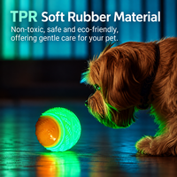 Balle lumineuse TPR pour chien, jouet durable à mâcher, balle interactive pour apporter et ramasser, pour chiens de petite, moyenne et grande taille
