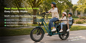Vélo cargo électrique KOOLUX avec moyeu arrière en acier, pneu large de 20 pouces, assistance au pédalage, moteur brushless 250W, stock UE, livraison multilingue pour entreprises - Product Image 6