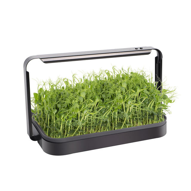 New Mini Smart Indoor Garden Hydroponic Grow Kit Plastic Planter with LED Wood Ceramic Metal for Office Outdoor Living Room Wall