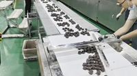 Machine d'emballage automatique polyvalente pour chocolat plissé, à fonctionnement rapide et personnalisable
