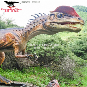 Revestimiento para capas, - Product Image 5