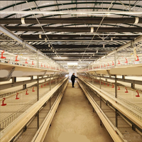 Poulailler pour 90 à 5000 poulets, cage à poulets de type H, équipement avicole, élevage de poulets de chair, cages à poulets
