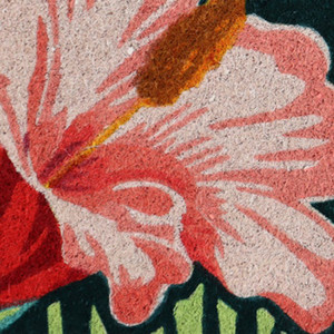 HMS 18 \ "X 30 \" zerbini in fibra di cocco blu e rosa zerbini per esterni tropicali con stile colore numero di modello cocco zerbini - Product Image 4