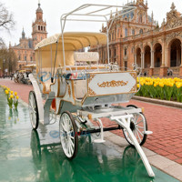 Carruaje de Lujo Europeo para Bodas, Carruaje Real para Exteriores con 6 Asientos, Carruaje Eléctrico Estilo Cenicienta para Paseos Turísticos