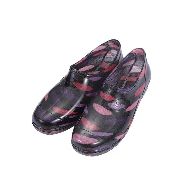 วงกลมสีแดงสีม่วง