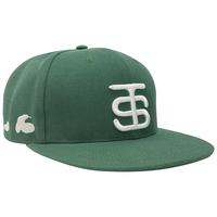 Full Custom Propre Marque Snapback Cap Chapeau Plaine Hip Hop Facture Plat Casquettes Mens 6 Panneau 3d Broderie Snap Back Casquettes de Sport