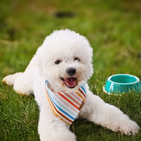 Bandanas personnalisées à carreaux pour chiens, foulards triangulaires pour animaux de compagnie, accessoires pour chats et chiens, serviettes anti-salive