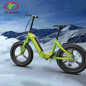 중국 제조 업체 사용자 정의 500/750/1000w ebike 20 인치 전기 미니 자전거