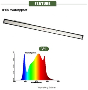 IR UV spectre complet 120W 240W MeanWell pilote <span class=keywords><strong>lampe</strong></span> à LED LM301h LED élèvent le panneau lumineux <span class=keywords><strong>pour</strong></span> les plantes hydroponiques - Product Image 1