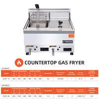 Friteuse Électrique Commerciale Certifiée Style Européen DC4F-1G 220V, Nettoyage Facile, Garantie Complète pour Frites Croustillantes