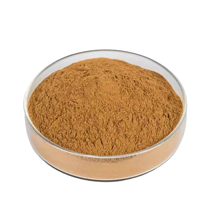 Suministro de fábrica de alta calidad Polvo de fecha Roja China orgánica Extracto de semilla de Jujuba Polvo de extracto de azufaifo
