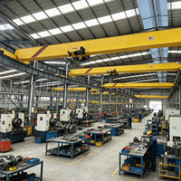 Pont roulant monopoutre Euro 10t pour usine de pièces détachées automobiles