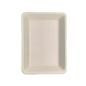 automatic plastic quail egg tray plastic tray jewellery display small size plastic rectangular tray