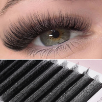 Extensions de cils en forme de Y, noir mat, 0,07C 0,07D, longues et naturelles, courbure D, cils doux, TDANCE YY Eyelashes