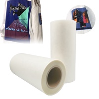 Film de transfert thermique DTF INKGIANT Color Boost 30*100m 75um Double Mat Instant PET pour application d'impression textile à haute température