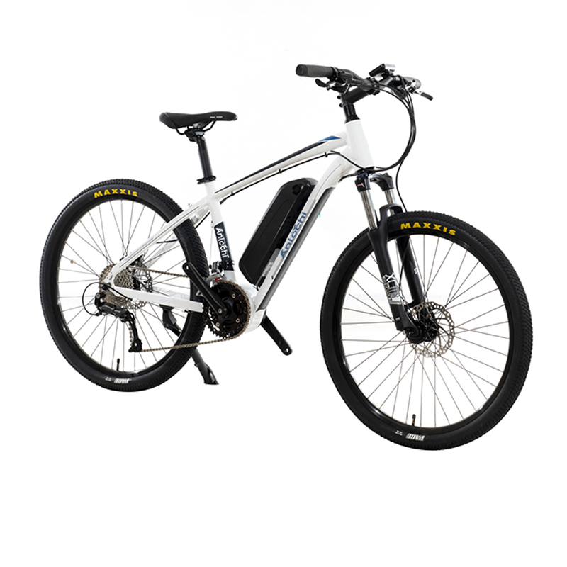 Panasonic  WiLL BIKE (美品) Panasonic Mountain Bikes - Premium Electric Bicycle Solutions