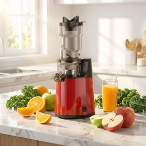 Extracteur de <span class=keywords><strong>jus</strong></span> à froid électrique personnalisé 250W pour fruits et légumes, presse-agrumes lent à froid pour fruits rouges - Product Image 2
