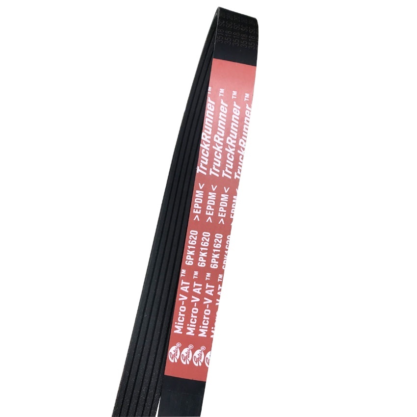 DAYCO 6PK1420 Courroie Accessoire Poly-V Multi-Rib - Qualité Premium Pour Renault, Toyota, Volvo Et Plus