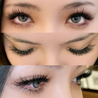 5DYY Cils volumineux style Flying Fox BSF, bouquets préfabriqués effilés, longs et naturels, faits à la main, sans cruauté animale, en valise
