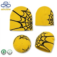 Gorros de Invierno con Diseño de Telaraña Y2K, Tejido Jacquard Personalizado, Estilo Gótico, Hip Hop, para Hombre y Mujer, Venta al Por Mayor