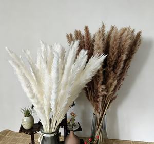 Hierba de Pampas Seca Natural Blanca y Gris para Decoración de Bodas y Navidad, Ecológica, para el Año Nuevo Chino, <span class=keywords><strong>Cortaderia</strong></span> - Product Image 2