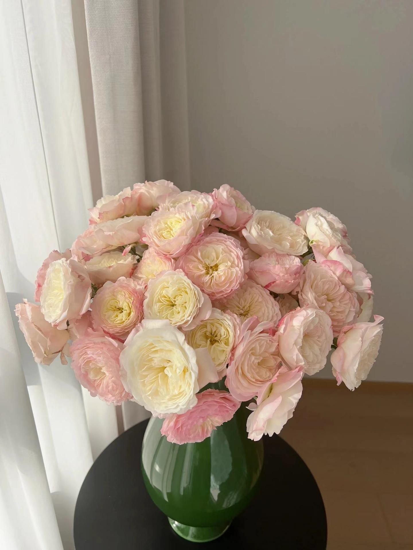 Kayla (ประโยชน์ของวันนี้)