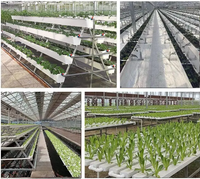 Système de gouttière en PVC pour la plantation de fraises sous serre culture tridimensionnelle culture sans sol multicouche