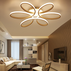 Venta caliente Simple minimalista flor forma iluminación techo moderno hogar luces candelabros interior oro aluminio LED techo Lihgt - Product Image 5