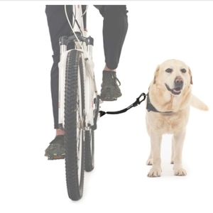 Sostenibile in acciaio inox cane rimorchio bici stile semplice per animali da esterno con rivetto decorazione per la bicicletta da viaggio - Product Image 2