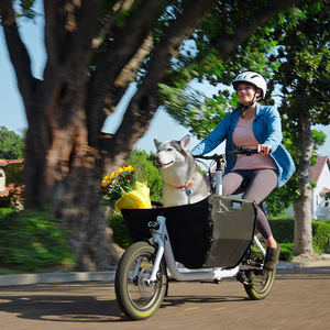 Bicicleta de carga de 9 velocidades con horquilla de aluminio con cambio de marchas interno y <span class=keywords><strong>desviador</strong></span> giratorio de cesta delantera - Product Image 1