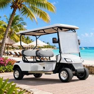 Voiturette de golf Tarion Street 4 places, moteur 3,5 kW, autonomie 90 km+, vitesse maximale 30-50 km/h, vente en gros directe d'usine, équipée d'un moteur 4.0 - Product Image 1