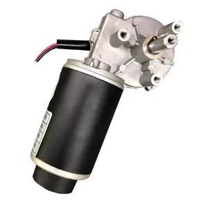 Torsi Tinggi Motor Dc 24V dengan Encoder Worm Geared Shaft Panjang Elektrik 100Kgcm 12V Motor Poros Ganda