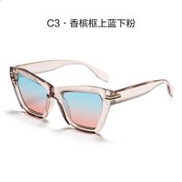 Vente chaude en gros Designer Classique Rétro Logo Lunettes de soleil Épais Plein cadre Écaille de tortue Carré Hommes Femmes Lunettes de soleil