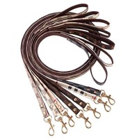 Laisse de luxe élégante en PU souple avec imprimé western, marque tendance, monogramme, pour animaux de compagnie (Teddy, Schnauzer), collier robuste pour chien, cool et mignon pour chat