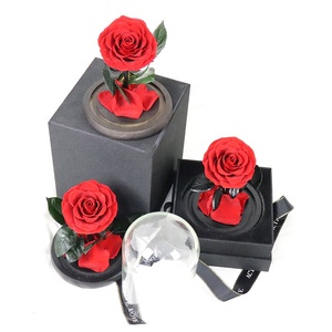 Ángeles rosas preservadas en cúpula de cristal regalo de San Valentín Flor de diente de león preservada - Product Image 5