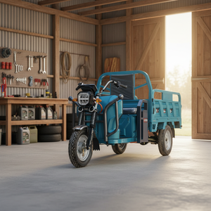Tricycle à trois roues 1000W à prix abordable avec boîte de vitesses Beilande à 3 rapports pour un changement de vitesse fluide et polyvalent - Product Image 2