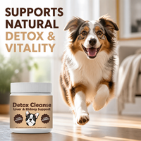 Complément Alimentaire pour Animaux OEM/ODM : L-Lysine en Poudre, Friandises à Mâcher Détoxifiantes pour Chiens – Élimination des Toxines, Soin de Bien-être et Vitalité